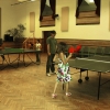 Pingpong verseny