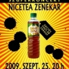 Folt formáció és Nicetea zenekar koncertje
