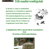 Zöld Klub - Téli madárvendégeink